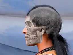 skull